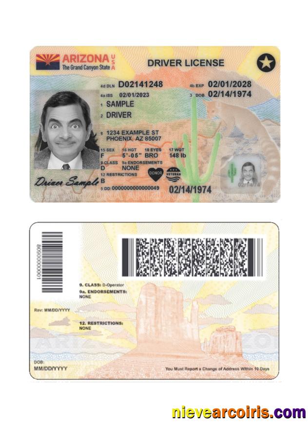 USA Arizona driving license 2023-present